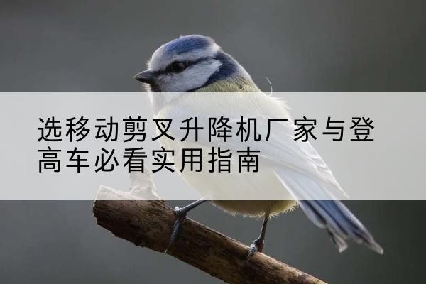 汨罗电动升降机厂家-选移动剪叉升降机厂家与登高车必看实用指南