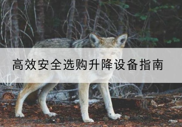 汨罗升降货梯厂家推荐-*安全选购升降设备指南